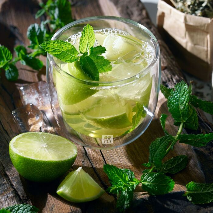 Набор из 2 стаканов для чая 0,24 л Sorrento Plus Zwilling