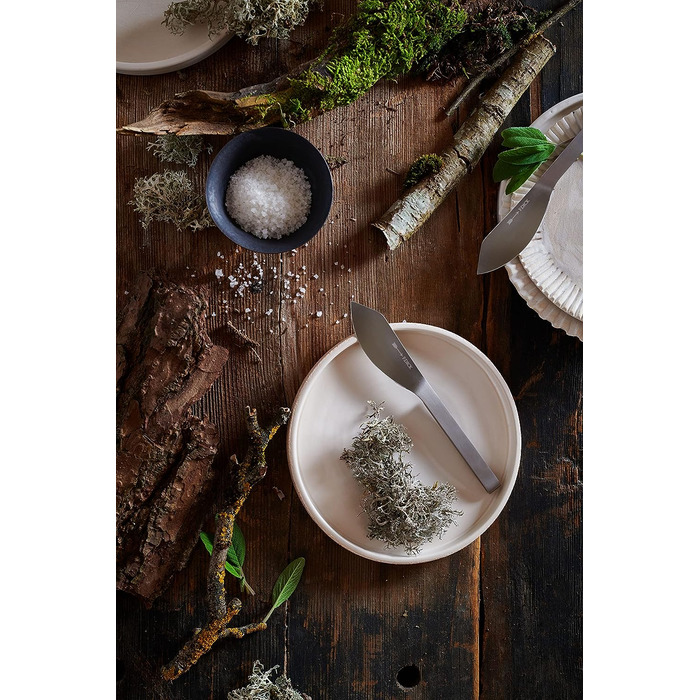 Набор ножей для стейка 4 предмета Ajax F. DICK