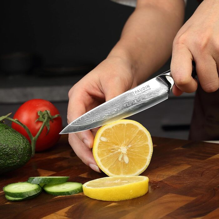 Универсальный кухонный нож из дамасской стали 13 см VG10 PAUDIN