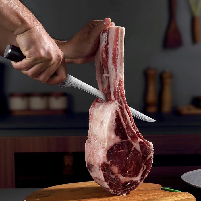 Профессиональный нож для ветчины из нержавеющей стали 25 см PAUDIN