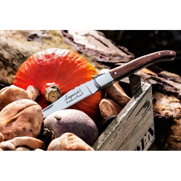 Нож карманный 9 см Laguiole Style de Vie