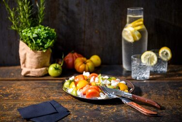 Набор ножей для стейка с футляром 6 предметов Rose Wood Luxury Line Laguiole