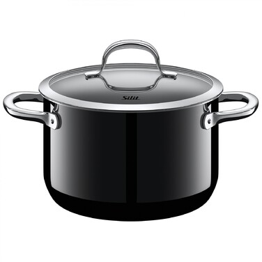 Кастрюля, глубокая 20 см Passion Colours Black Silit
