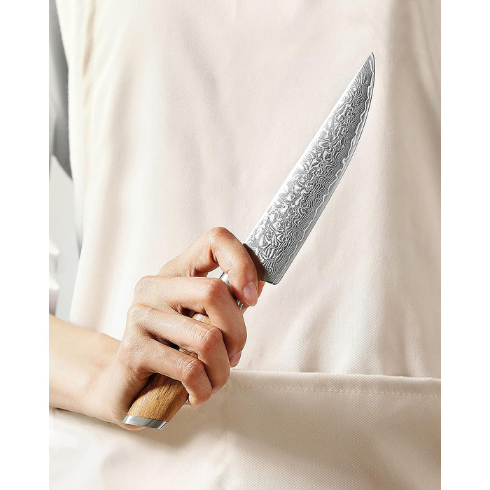 Набор из 4 ножей для стейка из дамасской стали XINZUO