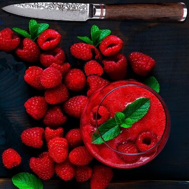 Профессиональный поварской нож из натуральной дамасской стали с рукояткой из орехового дерева 9 см 67 Wakoli