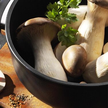 Сковорода для тушения с крышкой 32 см SKK