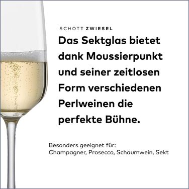 Набор бокалов для вина и шампанского 500 мл 18 предметов Premium Box Taste Schott Zwiesel