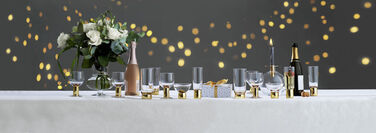 Бокалы для вина 220 мл, 2 предмета Club Sagaform