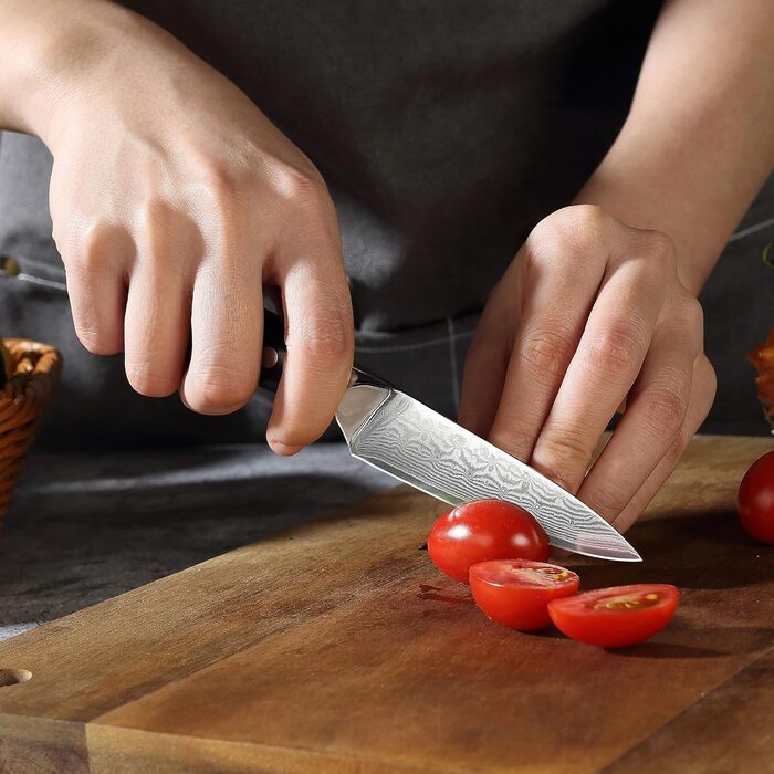 Нож для чистки овощей из дамасской стали 9 см Damascus PAUDIN