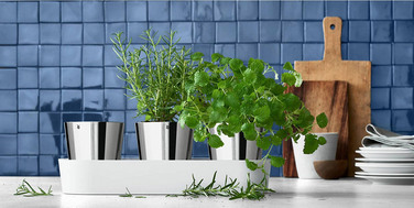 Gourmet WMF коллекция от бренда WMF