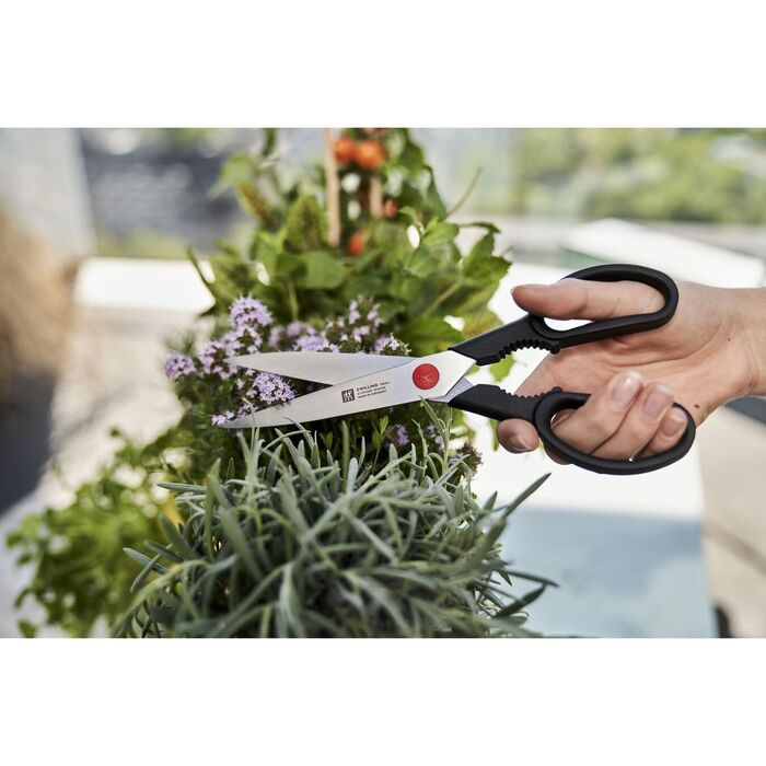 Twin L коллекция от бренда Zwilling