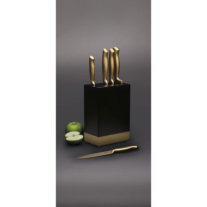 Набор из 5 ножей с подставкой Master Class