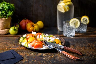 Набор ножей для стейка с футляром 6 предметов Rose Wood Luxury Line Laguiole