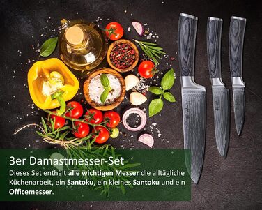 Wakoli Набор из 3 профессиональных кухонных ножей дамасская сталь/дерево пакка Edis Wakoli