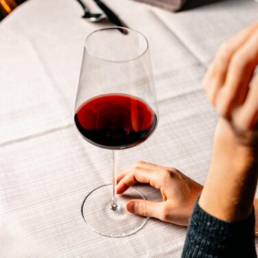 Набор из 6 бокалов для красного вина 0,6 л Stölzle Lausitz