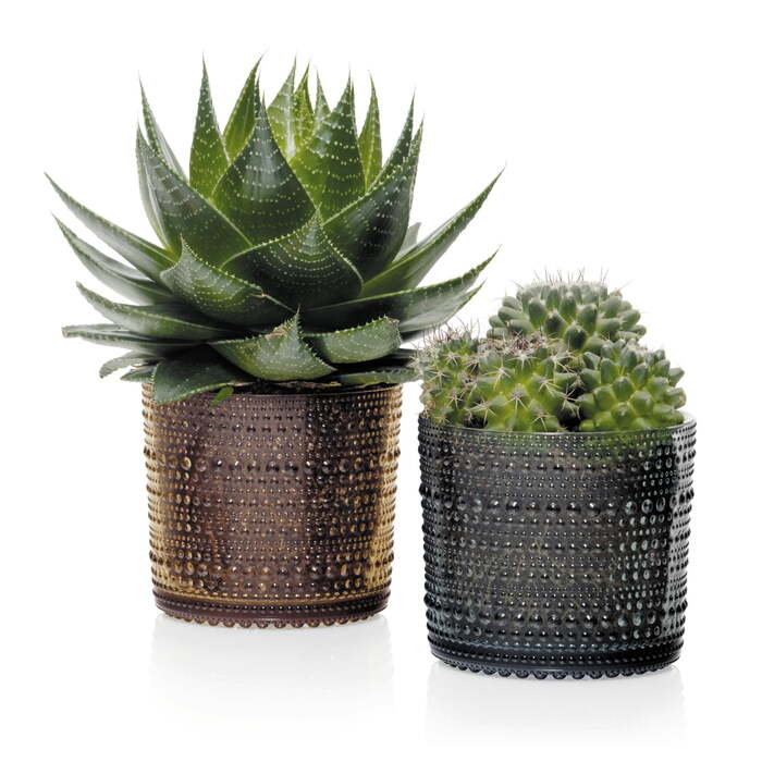 Емкость для хранения 5,7х11,6 см синяя Kastehelmi Iittala