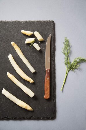 Arcos Набор из 12 ножей нержавеющая сталь/дерево Latina Box Arcos