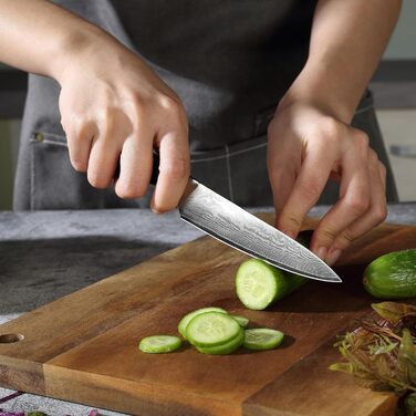 Универсальный кухонный нож из дамасской стали 13 см VG10 PAUDIN