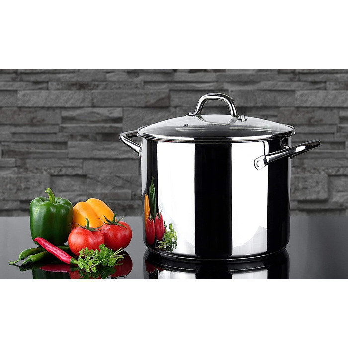 Кастрюля 10 л Linnuo