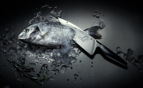 Поварские ножи