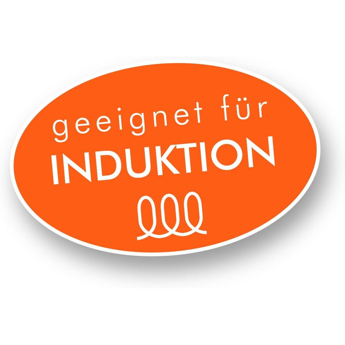 Кастрюля для супа 9 л 24 см Ravenna Rohe Germany