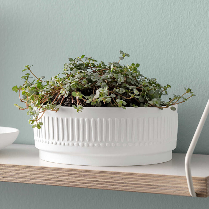 It's My Home коллекция от бренда Villeroy & Boch