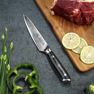 Универсальный кухонный нож из дамасской стали 13 см VG10 PAUDIN