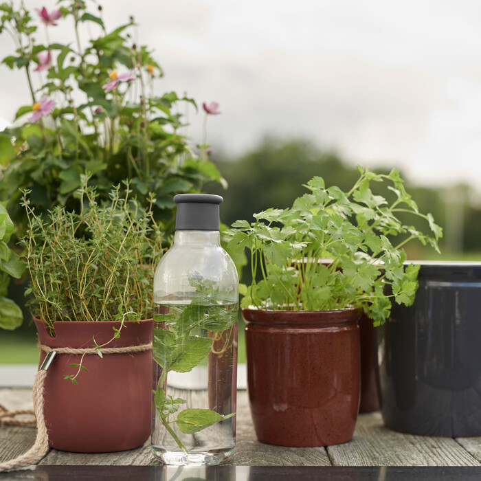 Бутылка для воды 0,75 л, серая Drink It Rig-Tig by Stelton