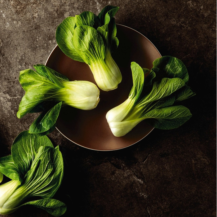 Liberty Bronze Seltmann Weiden